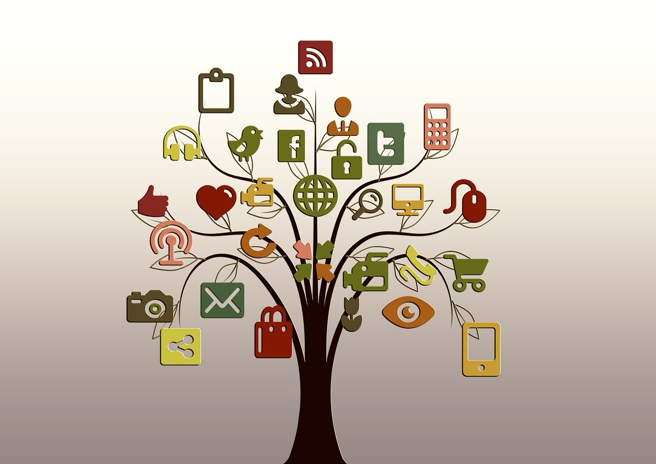 tree, structure, networks, internet, network, social, tiktok, social network, logo, facebook, google, social networking, networking, social media, icon, nature, website, presentation, multimedia, logo, social media, social media, social media, social media, social media, website